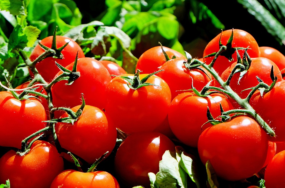 tomate românești