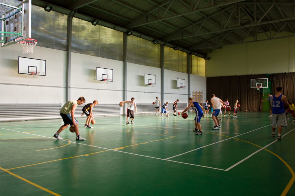 pnl baze sportive udrea