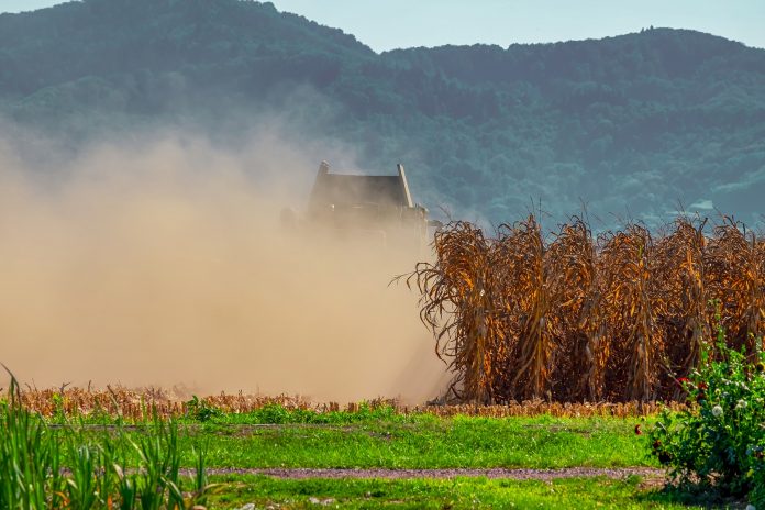 achizitiile de terenuri agricole românia în secetă agricultură